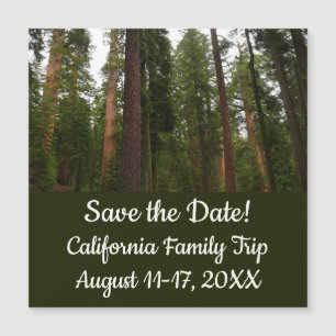 Mariposa Grove im Yosemite-Nationalpark Magnetkarte