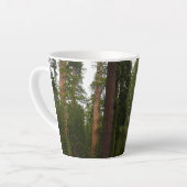 Mariposa Grove im Yosemite-Nationalpark Milchtasse (Linke Ecke)
