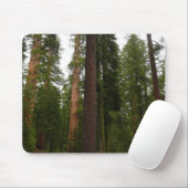 Mariposa Grove im Yosemite-Nationalpark Mousepad (Mit Mouse)