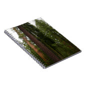 Mariposa Grove im Yosemite-Nationalpark Notizblock (Rechte Seite)