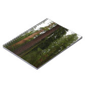 Mariposa Grove im Yosemite-Nationalpark Notizblock (Linke Seite)