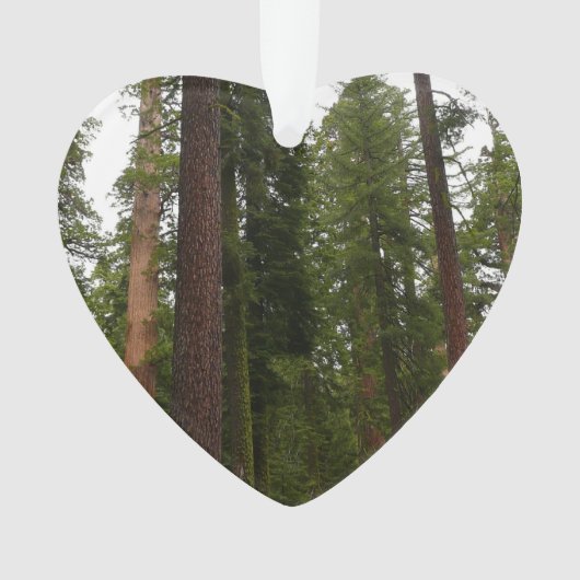 Mariposa Grove im Yosemite-Nationalpark Ornament (Vorderseite)