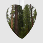 Mariposa Grove im Yosemite-Nationalpark Ornament (Vorderseite)