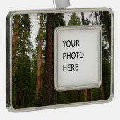 Mariposa Grove im Yosemite-Nationalpark Rahmen-Ornament Silber (Rechts)