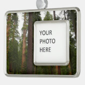 Mariposa Grove im Yosemite-Nationalpark Rahmen-Ornament Silber (Links)