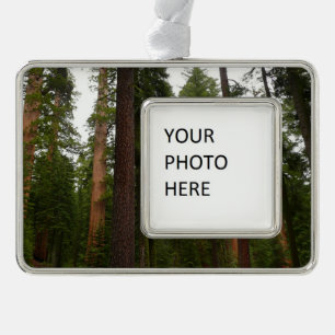 Mariposa Grove im Yosemite-Nationalpark Rahmen-Ornament Silber