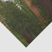 Mariposa Grove im Yosemite-Nationalpark Seidenpapier (Detail)