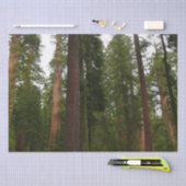 Mariposa Grove im Yosemite-Nationalpark Seidenpapier (Handwerk)