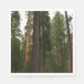 Mariposa Grove im Yosemite-Nationalpark Serviette (Vorderseite)