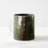 Mariposa Grove im Yosemite-Nationalpark Zweifarbige Tasse (Vorderseite Links)