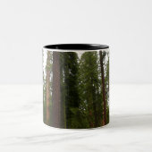 Mariposa Grove im Yosemite-Nationalpark Zweifarbige Tasse (Mittel)