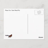 Mariposa Grove Postkarte (Rückseite)