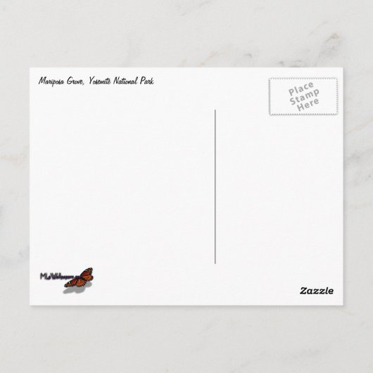 Mariposa Grove Postkarte (Rückseite)
