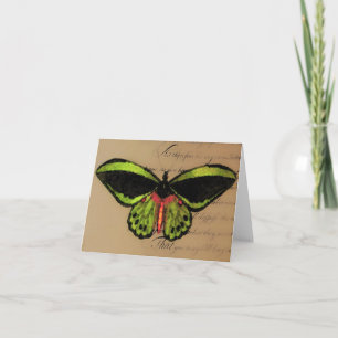 Mariposa ~ Karte / Einladungen
