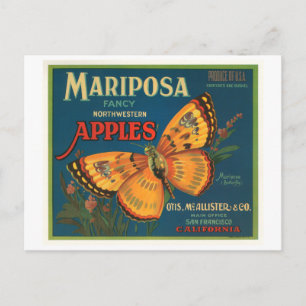 Mariposa Marken Äpfel Vintage-Kistenetikett - Butt Postkarte