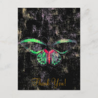 Mariposa ~ Postcard / Einladung Butterfly