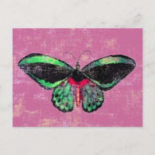 Mariposa ~ Postkarte / Einladung