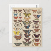 Mariposas Postkarte (Vorne/Hinten)