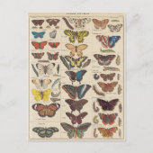 Mariposas Postkarte (Vorderseite)