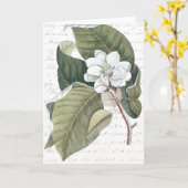 Mark Catesby Magnolia Collage mit Essay über Blume Karte (Gelbe Blume)