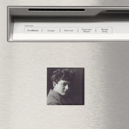 Mark Gertler Magnet (In Situ (Geschirrspüler))