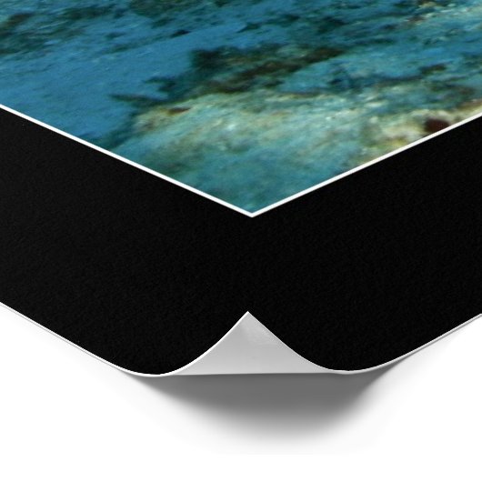 Mark und der Oktopus Poster (Ecke)