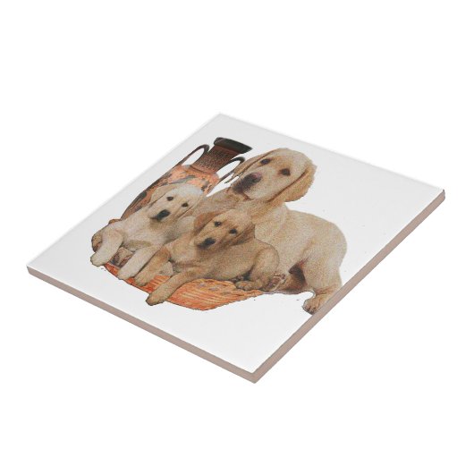 Markardor Retriever Fliese (Seite)