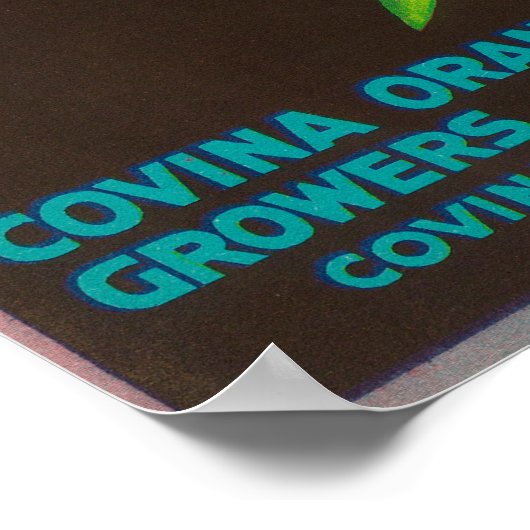 Marke Daisy Citrus Crate Label Poster (Ecke)