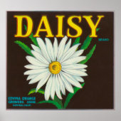 Marke Daisy Citrus Crate Label Poster (Vorne)