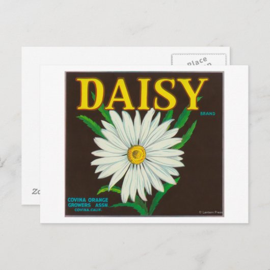Marke Daisy Citrus Crate Label Postkarte (Vorne/Hinten)