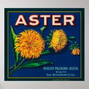 Markenbezeichnung Aster Citrus Crate Poster