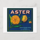 Markenbezeichnung Aster Citrus Crate Postkarte (Vorderseite)