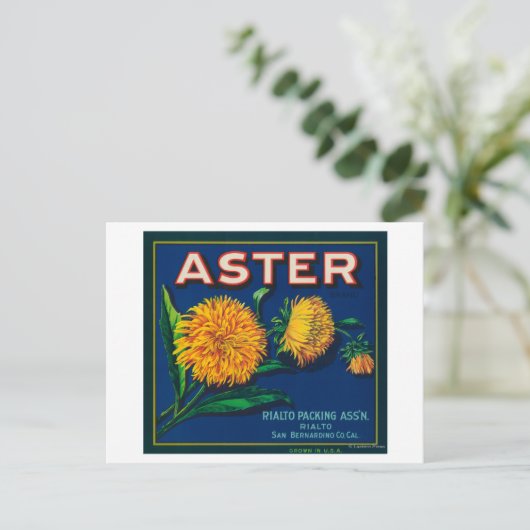 Markenbezeichnung Aster Citrus Crate Postkarte (Stehend Vorderseite)