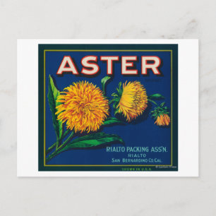 Markenbezeichnung Aster Citrus Crate Postkarte