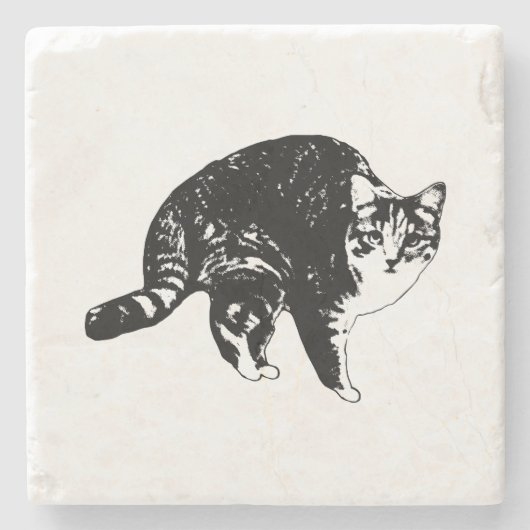Market Glow Tabby Tragetasche Steinuntersetzer (Vorderseite)