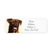 Markieren Sie Boxer Dog Address Labels (Vorne)