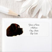 Markieren Sie Boxer Dog Address Labels (Insitu)