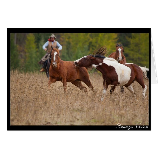 Markieren Sie es (Vorderseite (Horizontal))