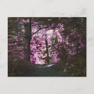 Markierung auf der Pfade-Natur-Postkarte Postkarte