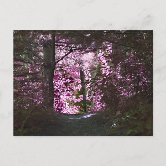 Markierung auf der Pfade-Natur-Postkarte Postkarte (Vorderseite)