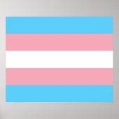 Markierung für den Trans Pride (Transgender Pride) Poster (Vorne)