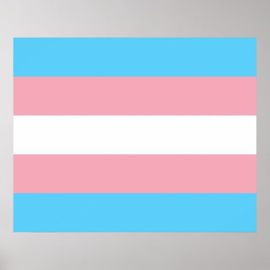 Markierung für den Trans Pride (Transgender Pride) Poster (Vorne)