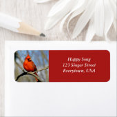 Markierungen für helle Kardinal (weißer Text) (Insitu)