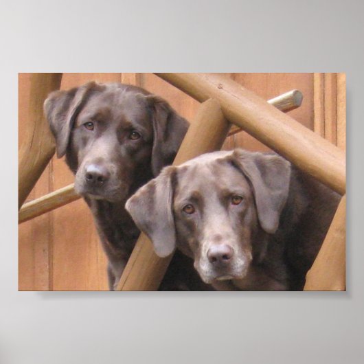 MARKS GALLERY POSTER (Vorne)