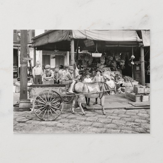 Markt des alten französischen Viertels Postkarte (Vorderseite)