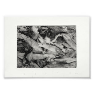 Markt-Glitzern Fotodruck