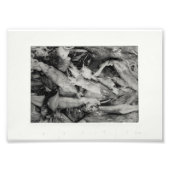 Marktorientierung Fotodruck (Vorne)