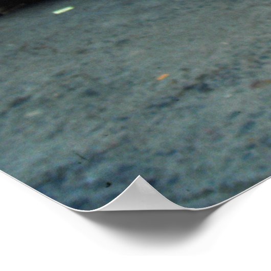 Markttag, Valparaiso, Chile Poster (Ecke)