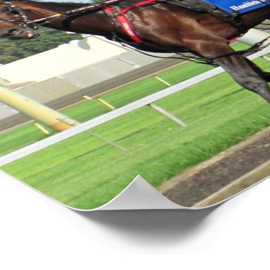 Marktteilnehmerplakat Poster (Ecke)