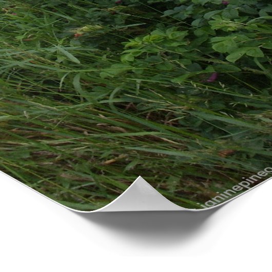 Marlboro Beach, Maine Poster (Ecke)